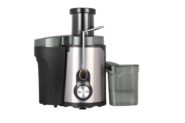 Electric Juicer
