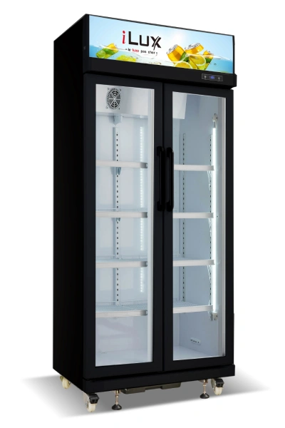 Double Door Display Refrigerator