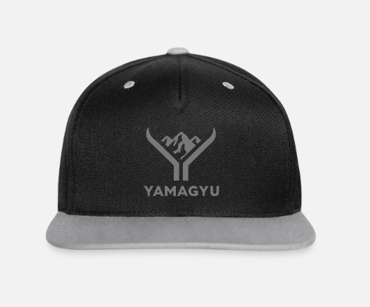 🧢 Casquette Snapback Vintage YAMAGYU