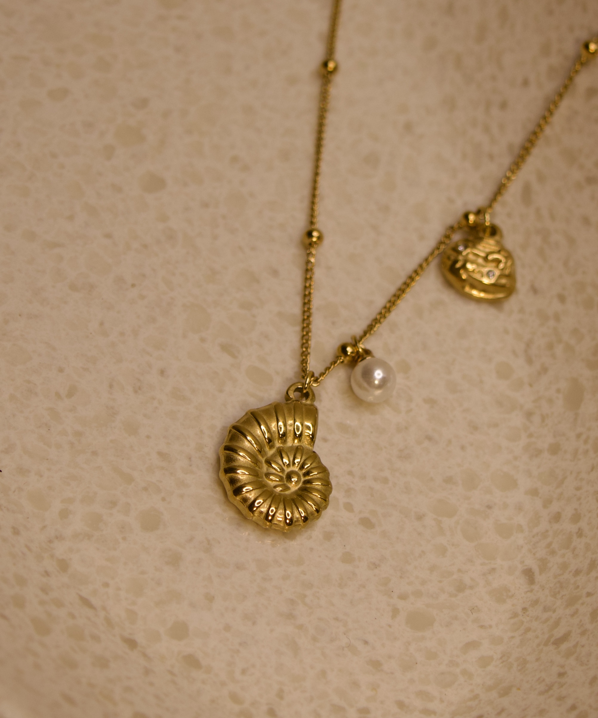Nautilus Shell Necklace