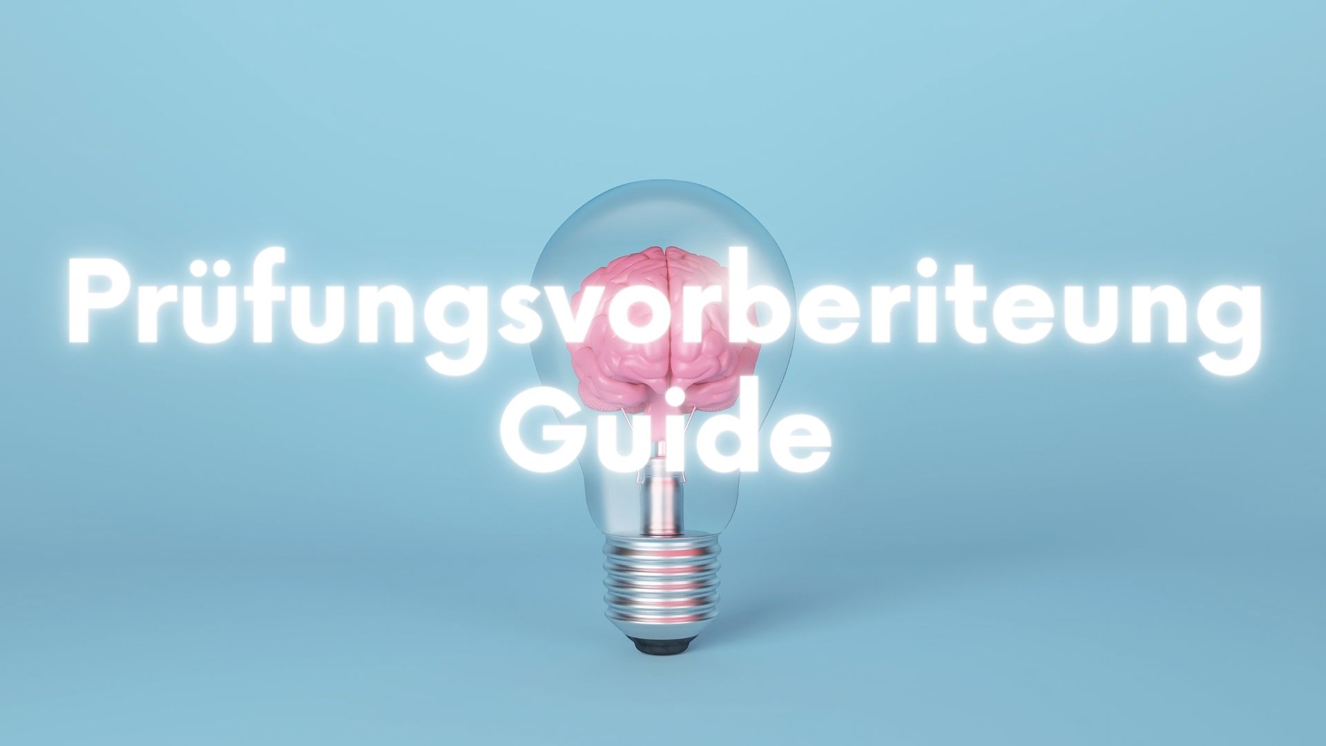 Prüfungs-Guide