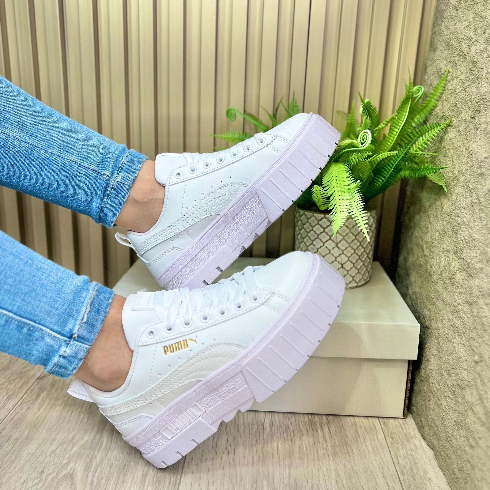 Puma Cali Court
