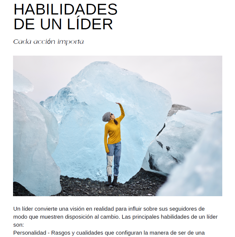 Revista Sincronízate No. 1 - Estilos de Liderazgo