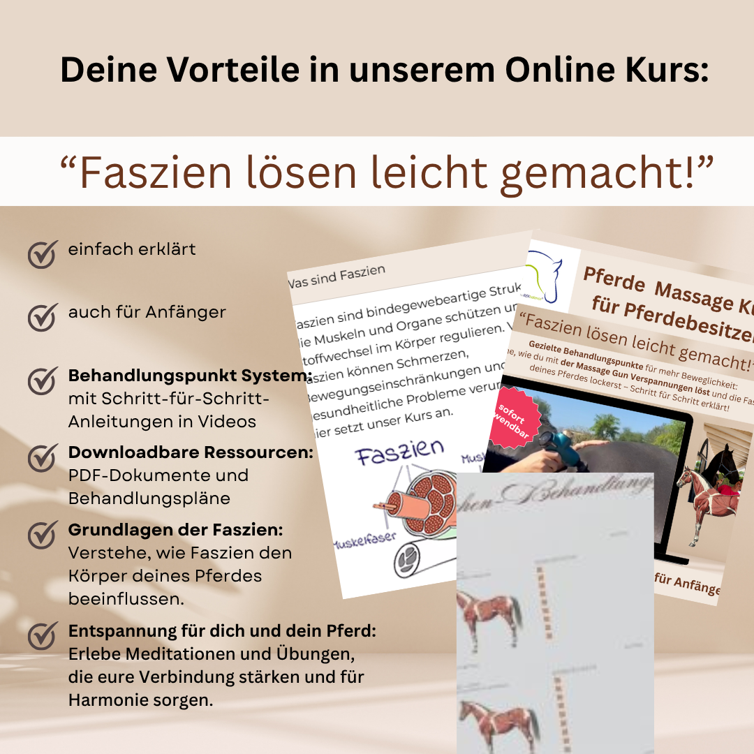 Pferde Massage Kurs für Pferdebesitzer