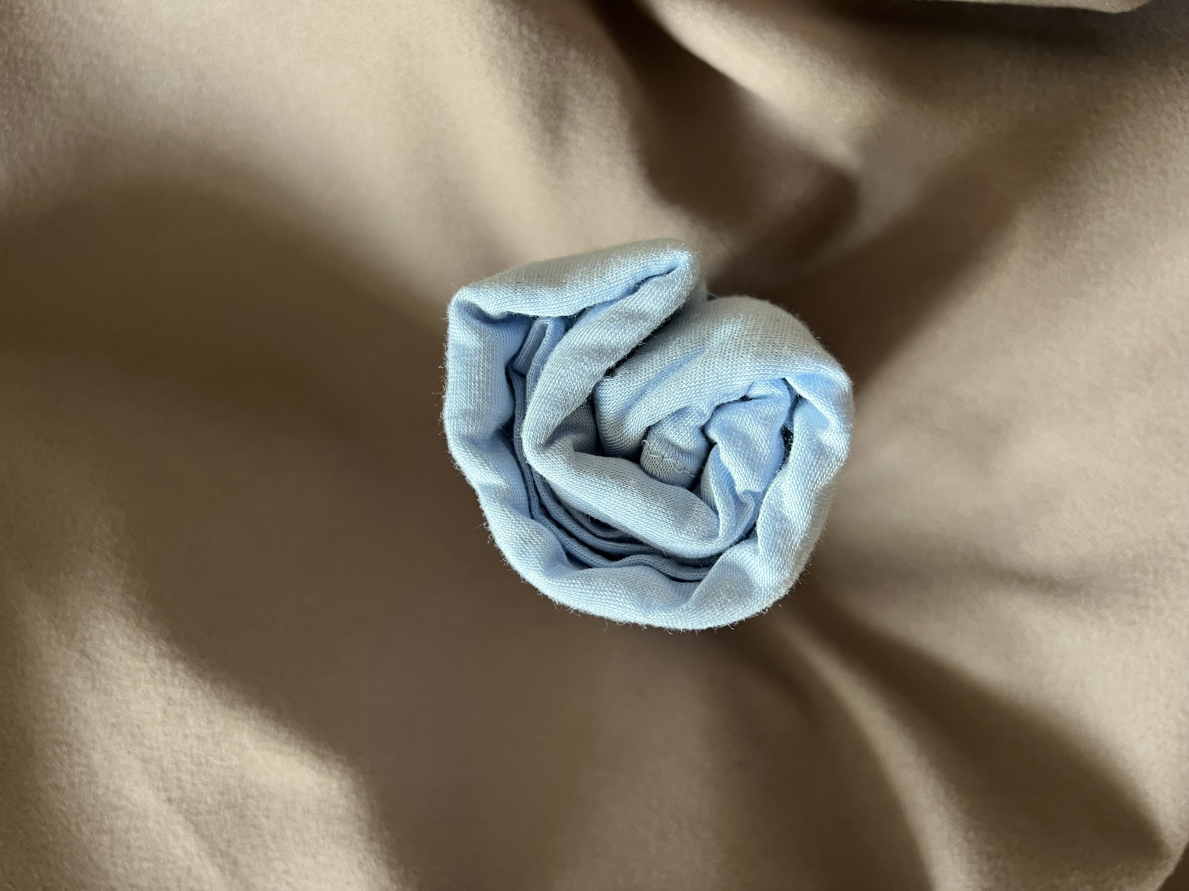 Jersay coton
