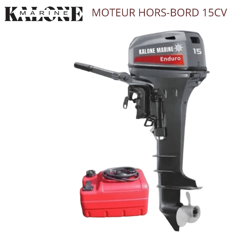 Moteur hors-bord 15 CV