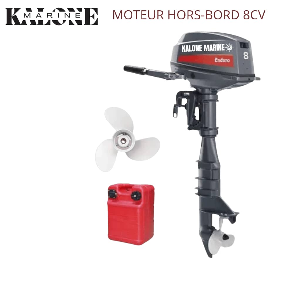 Moteur hors-bord 8 CV