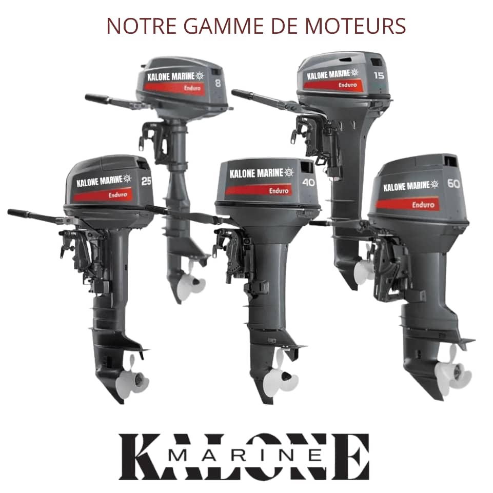 Moteur hors-bord 60 CV