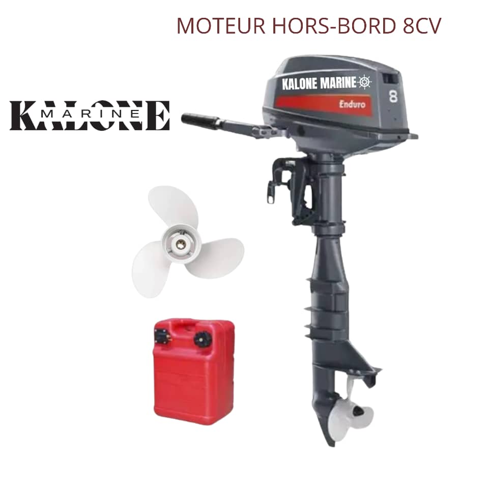 Moteur hors-bord 8 CV