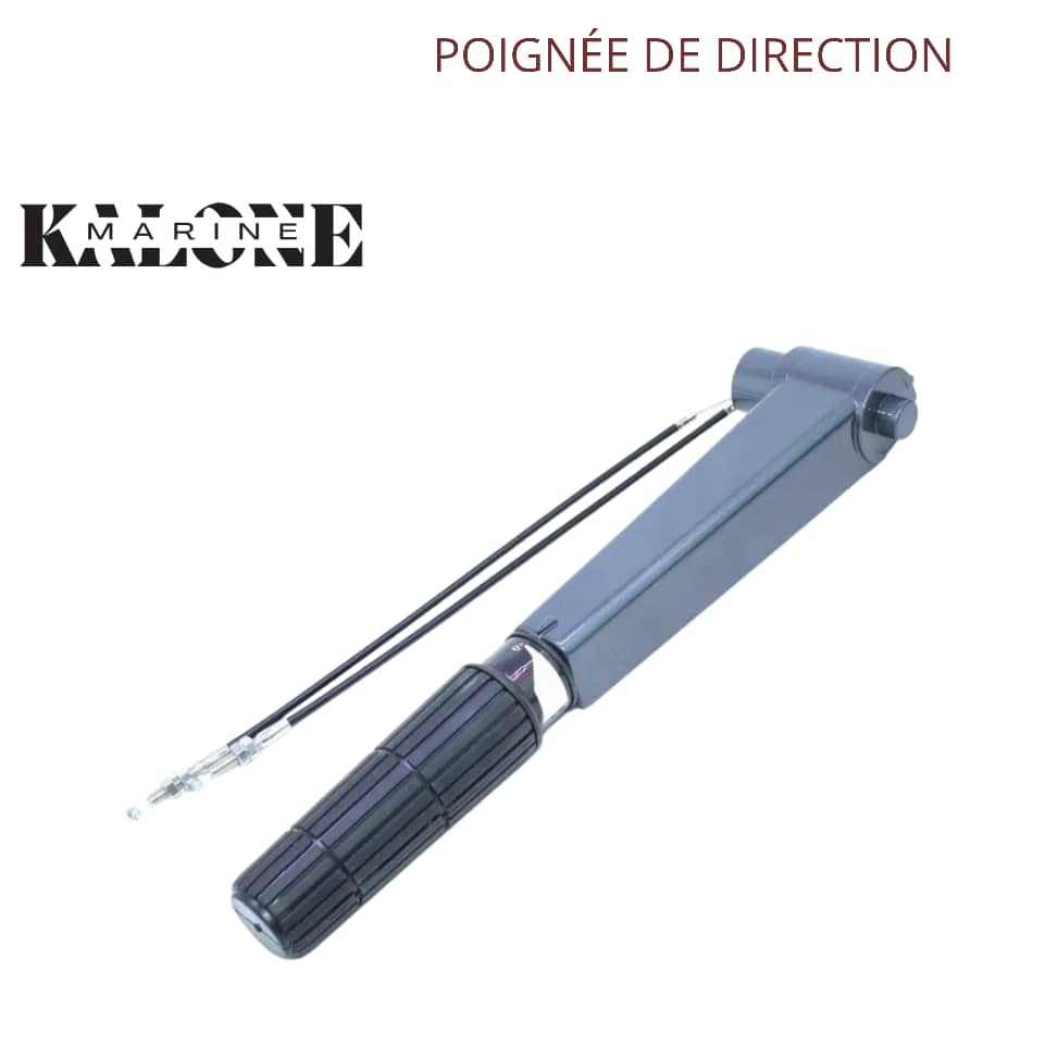 Poignée de Direction