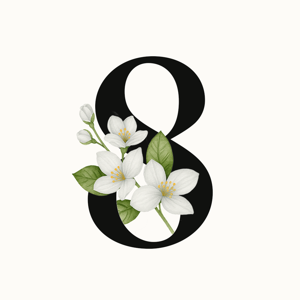 Plan 8 Clases Trimestral