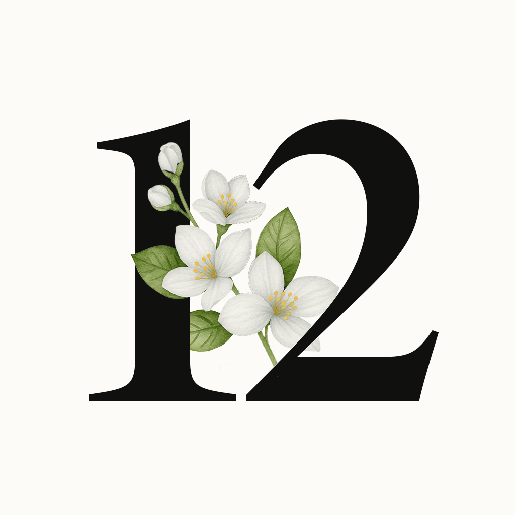 Plan 12 Clases Trimestral