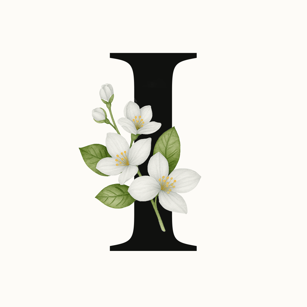 Plan Ilimitado Trimestral