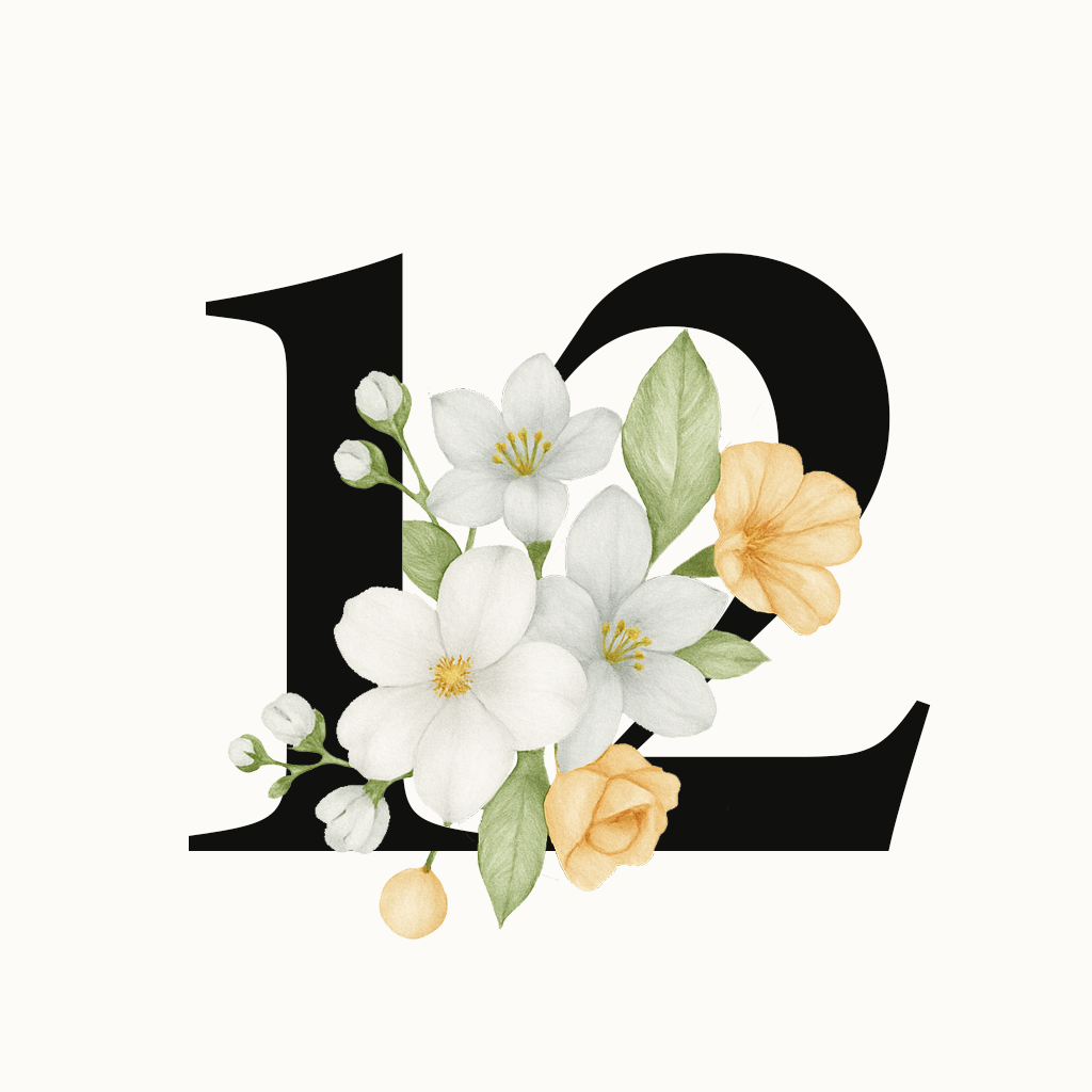 Plan 12 Clases Semestral