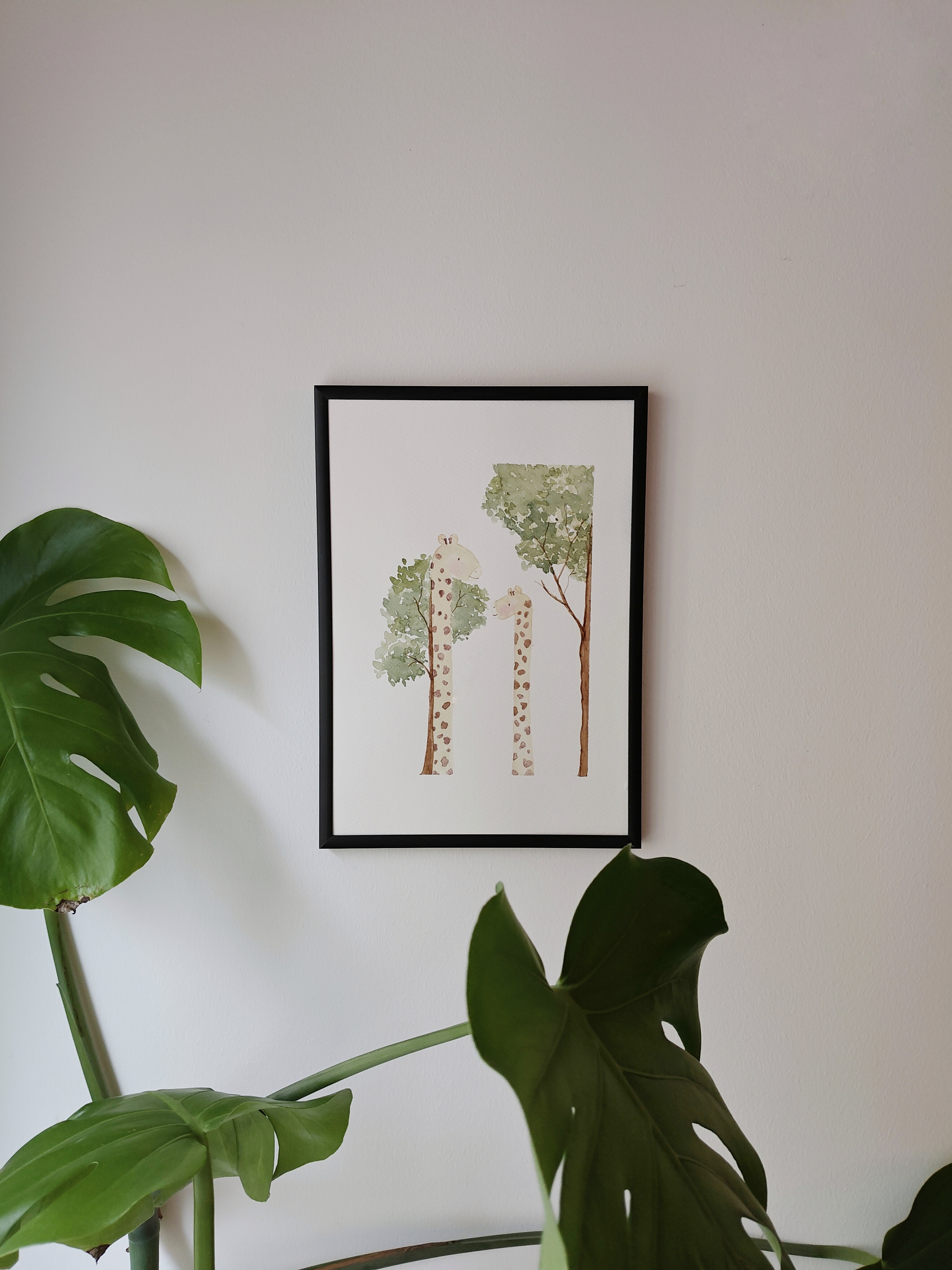 Two Curious Giraffes