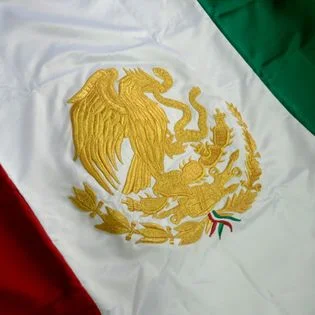 Bandera Reglamentaria con Bordado de Oro