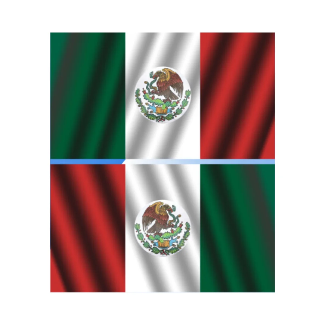Bandera Pintada Doble Reglamentaria .90X1.58