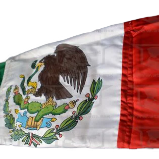Bandera Reglamentaria Pintada