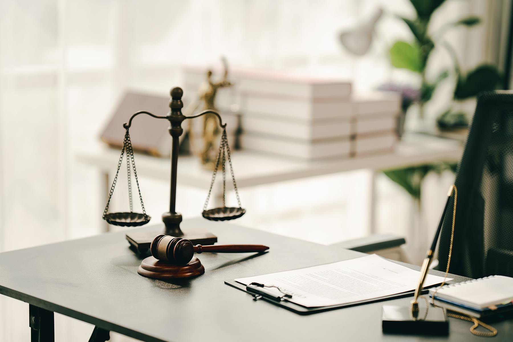 Legal Consultation Booking