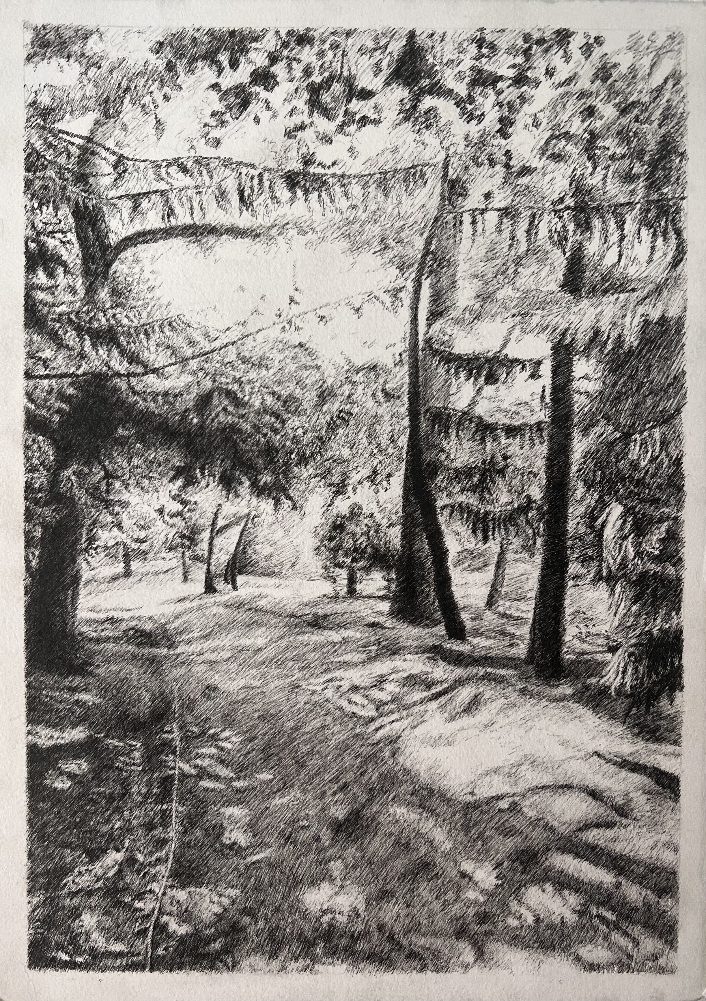 A Walk at Lake Laverne - Original