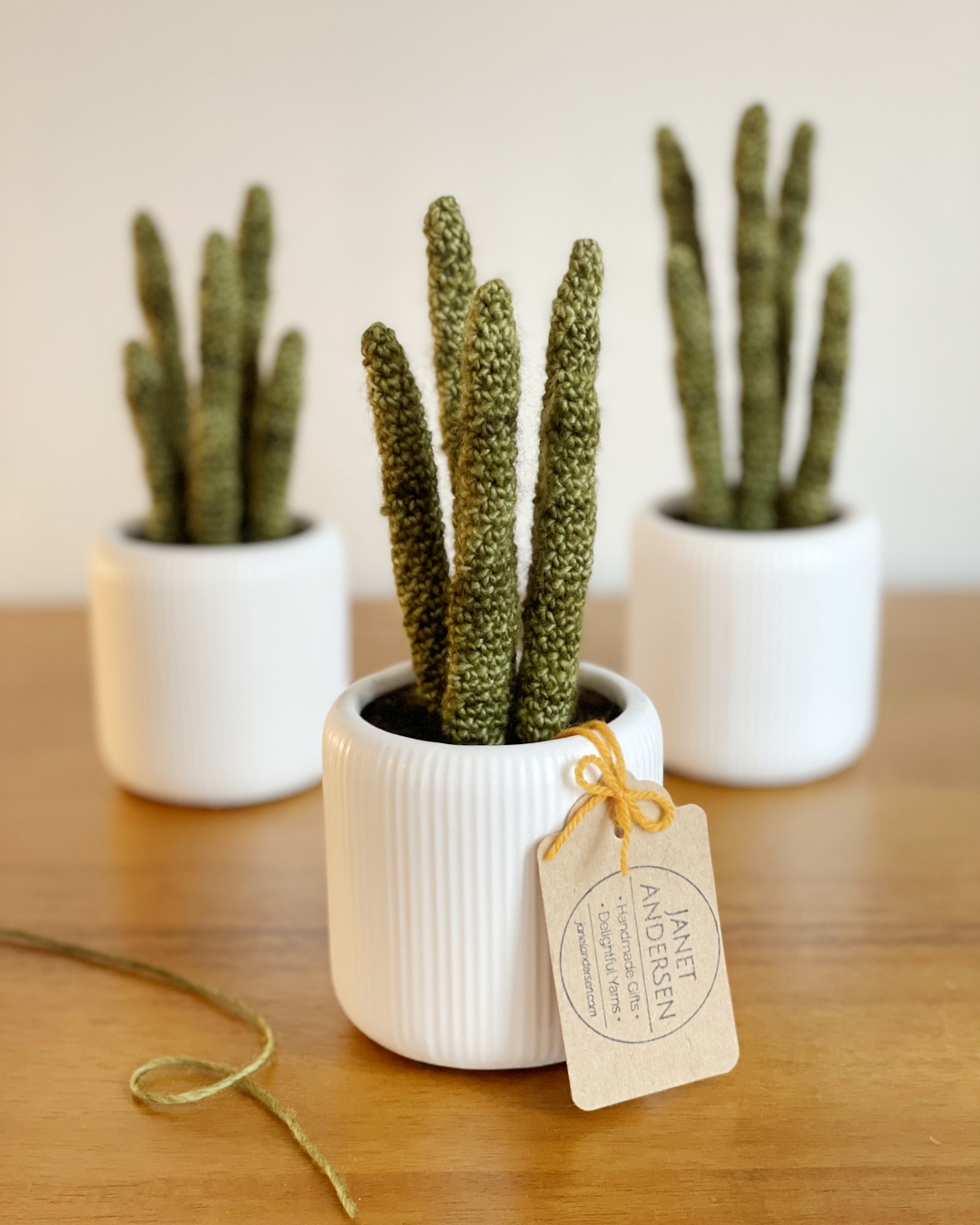 Small Crocheted Houseplant