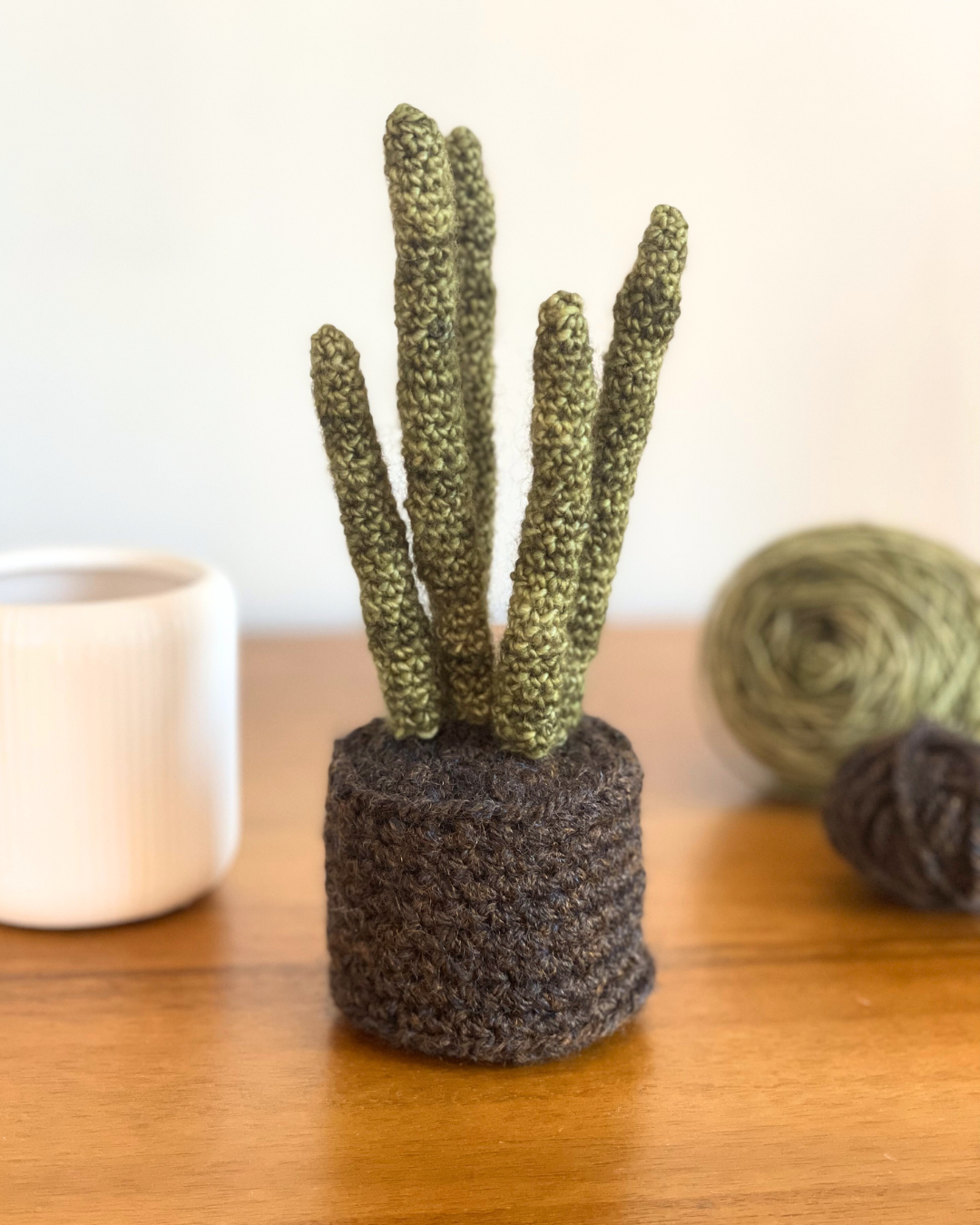 Small Crocheted Houseplant