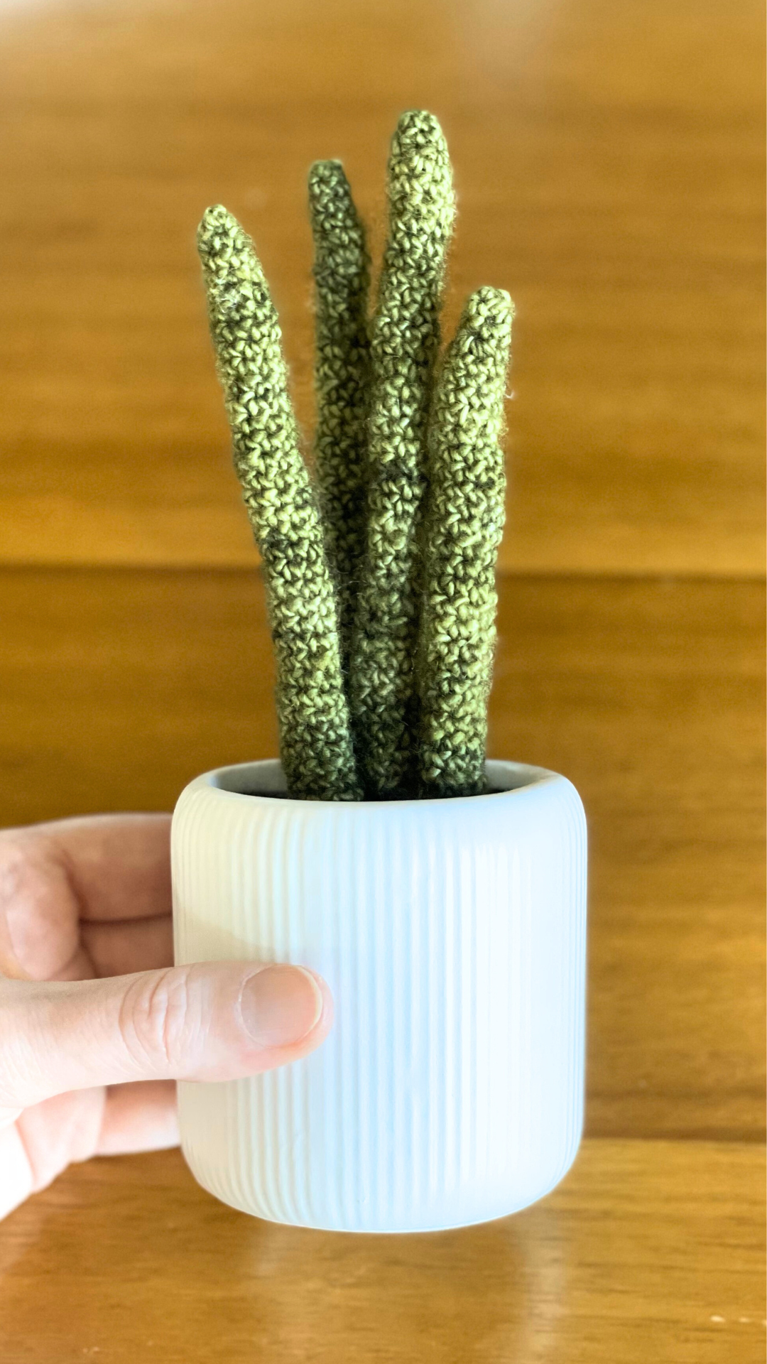 Small Crocheted Houseplant