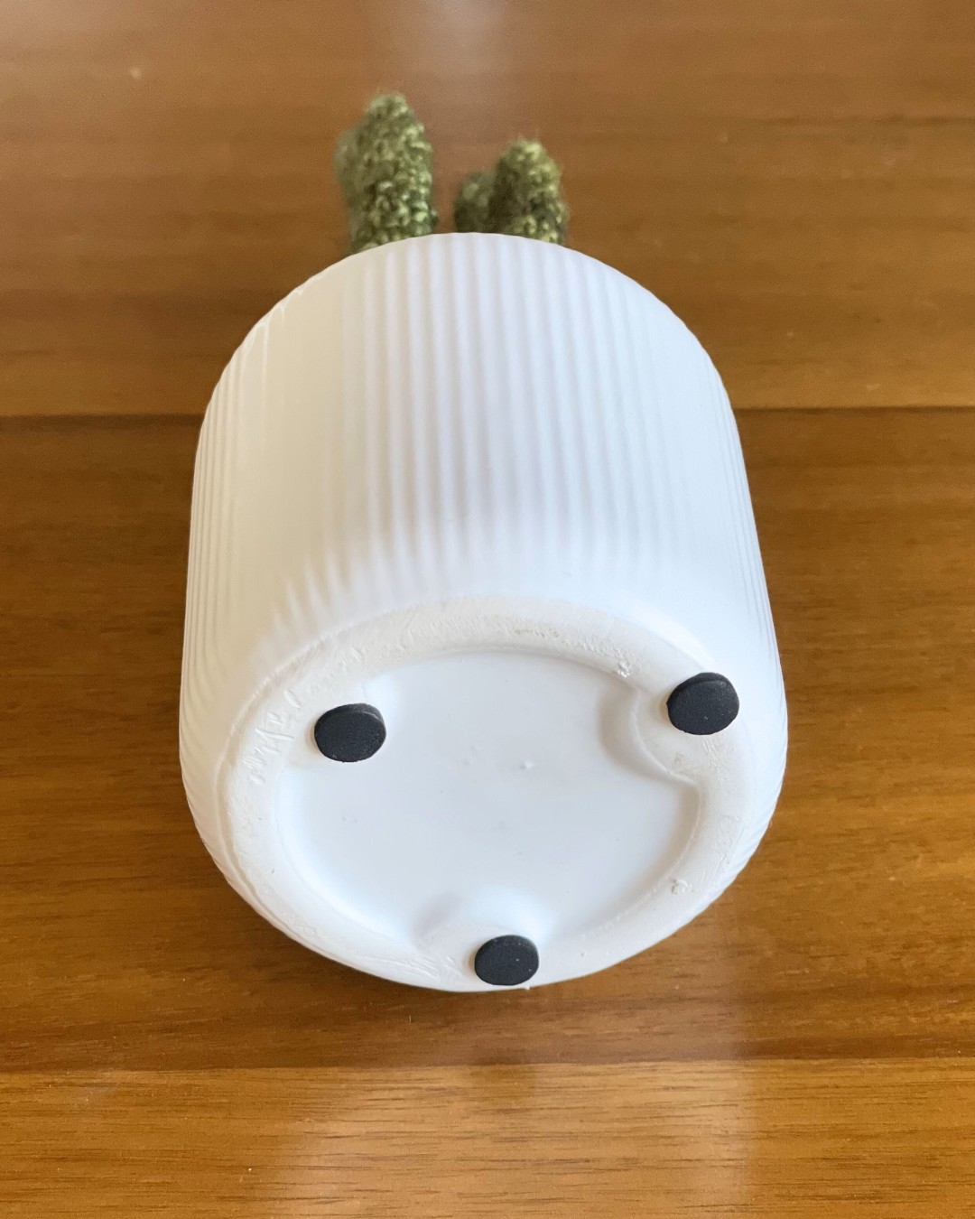 Small Crocheted Houseplant