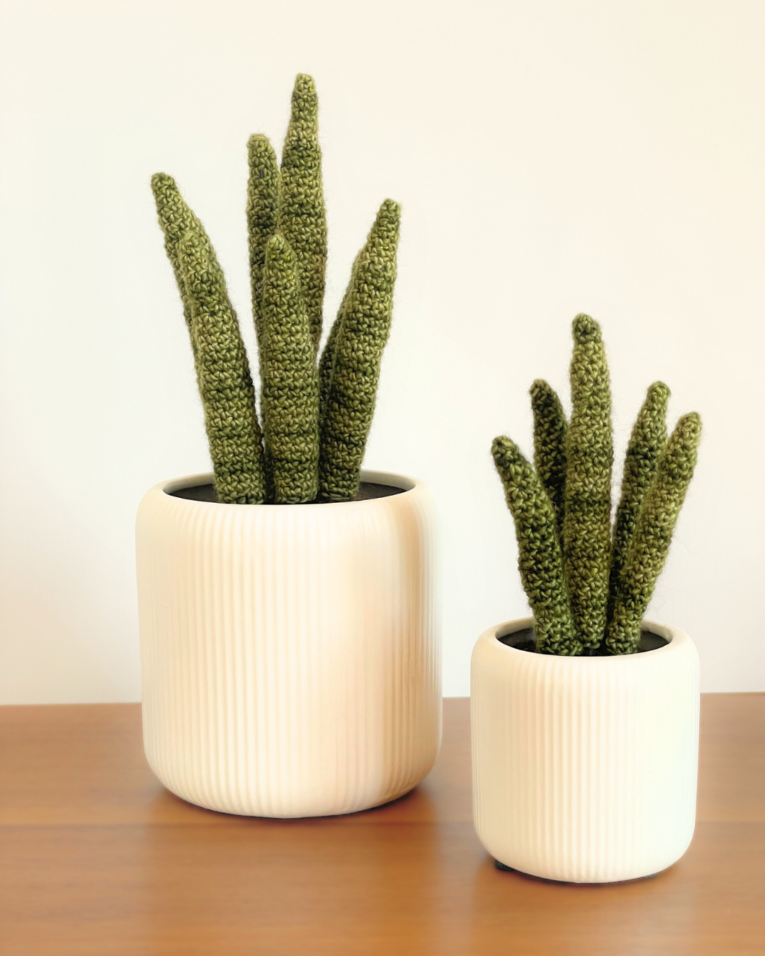 Large Crocheted Houseplant