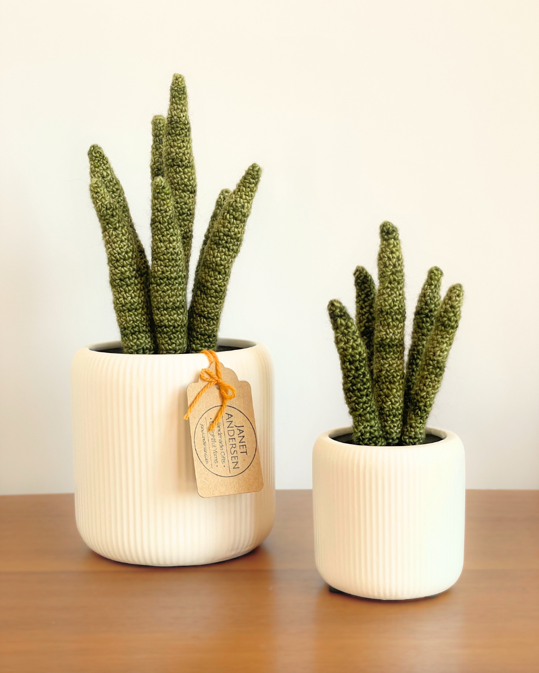 Large Crocheted Houseplant