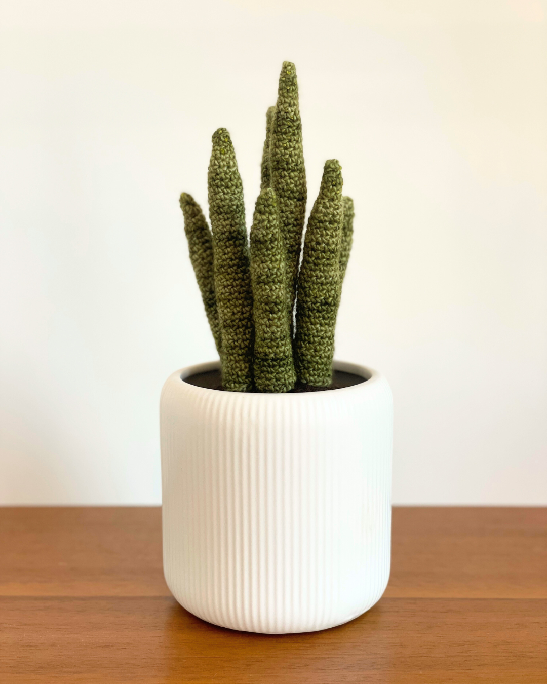 Large Crocheted Houseplant