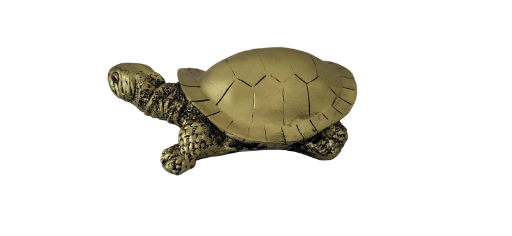 Tortoise