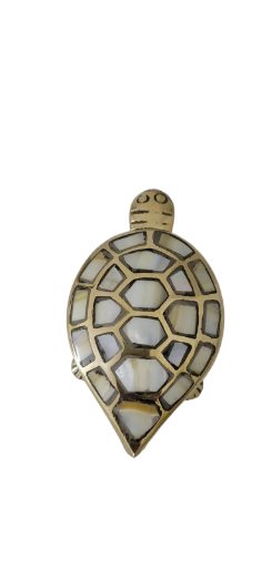 Wish Fulfilment Tortoise