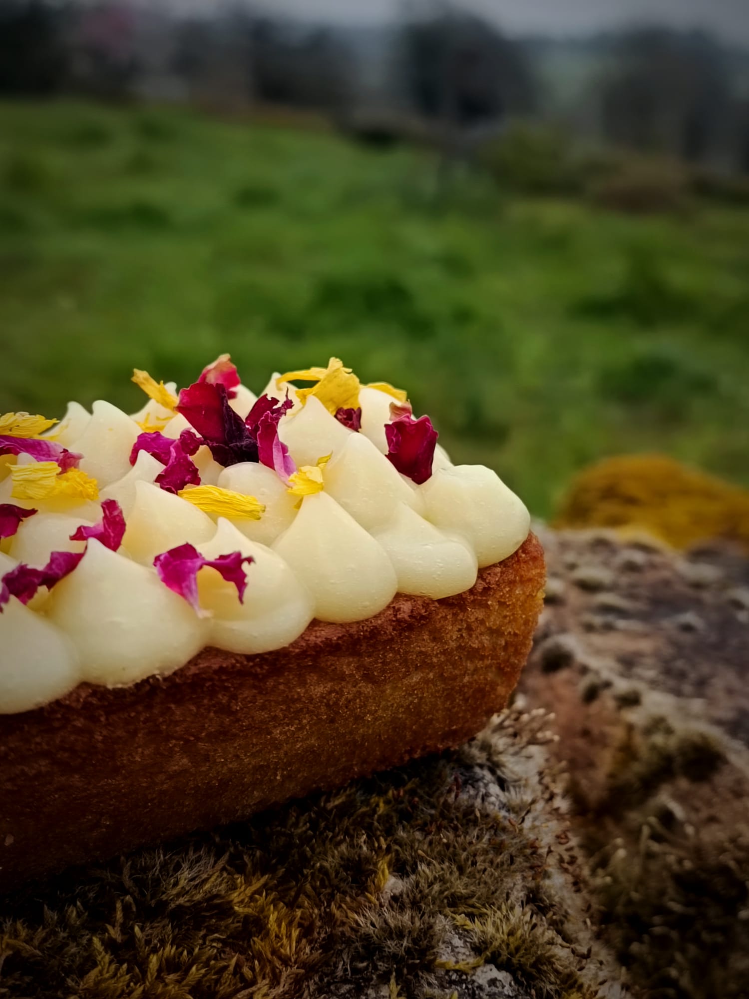 Cake au cœur de citron et sa meringue