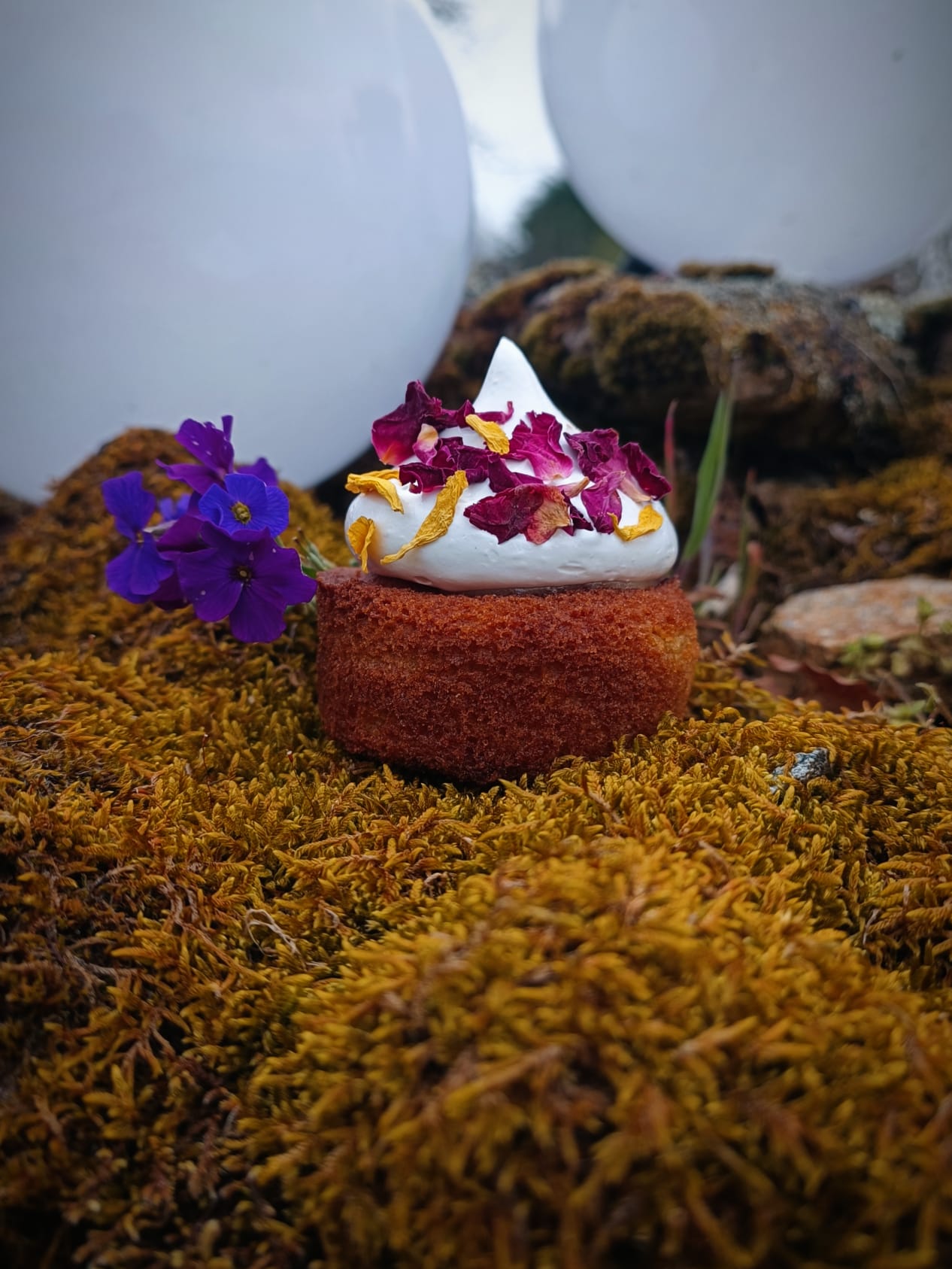 Cake au cœur de citron et sa meringue