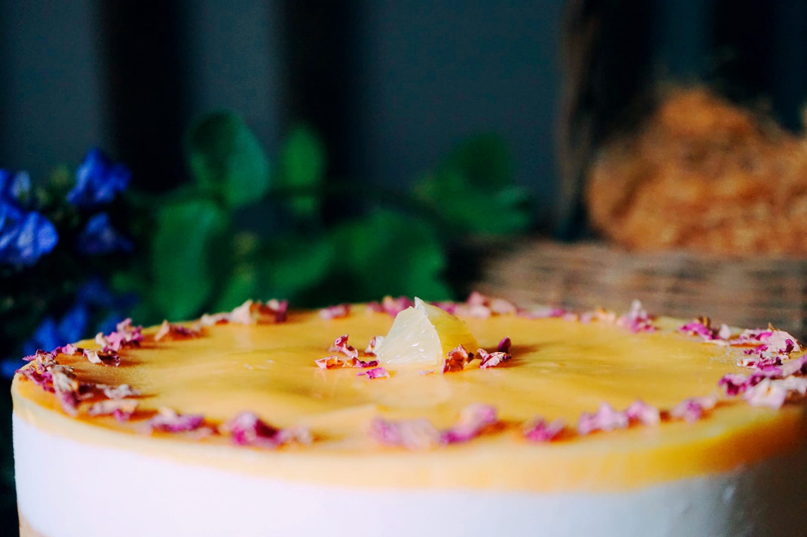 Cheesecake citron