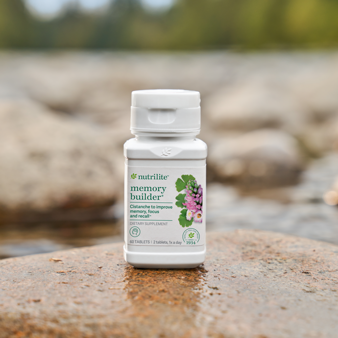 Memory Builder Supplement