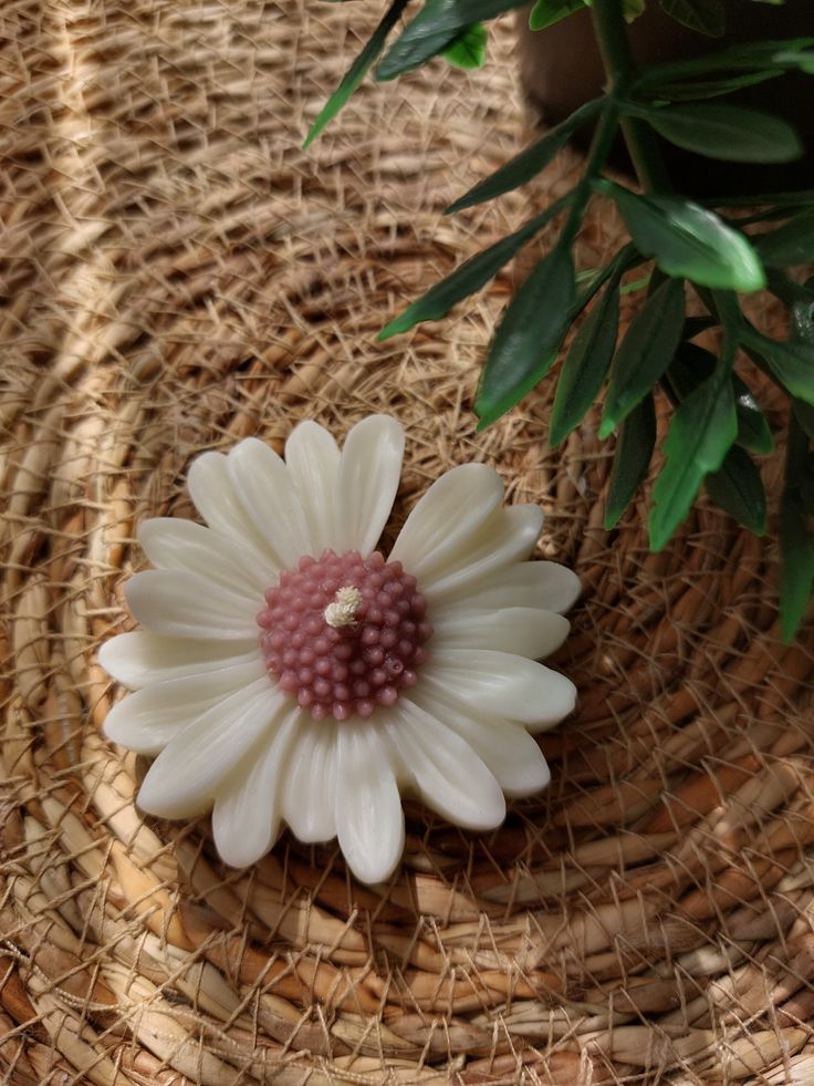 Daisy Floating Candle