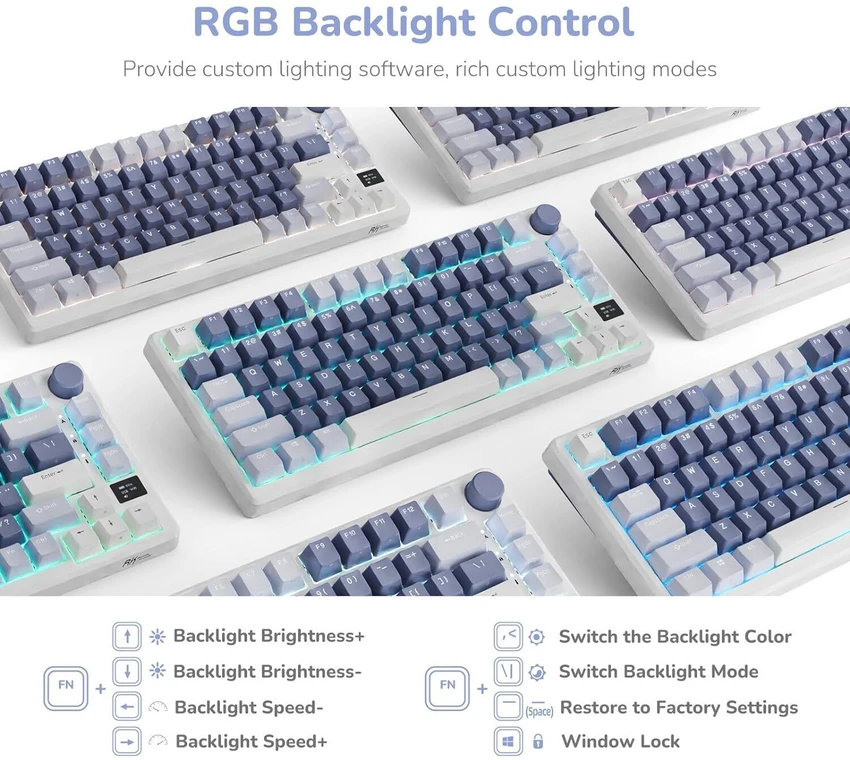 RK Royal Kludge M75 Mechanical Keyboard
