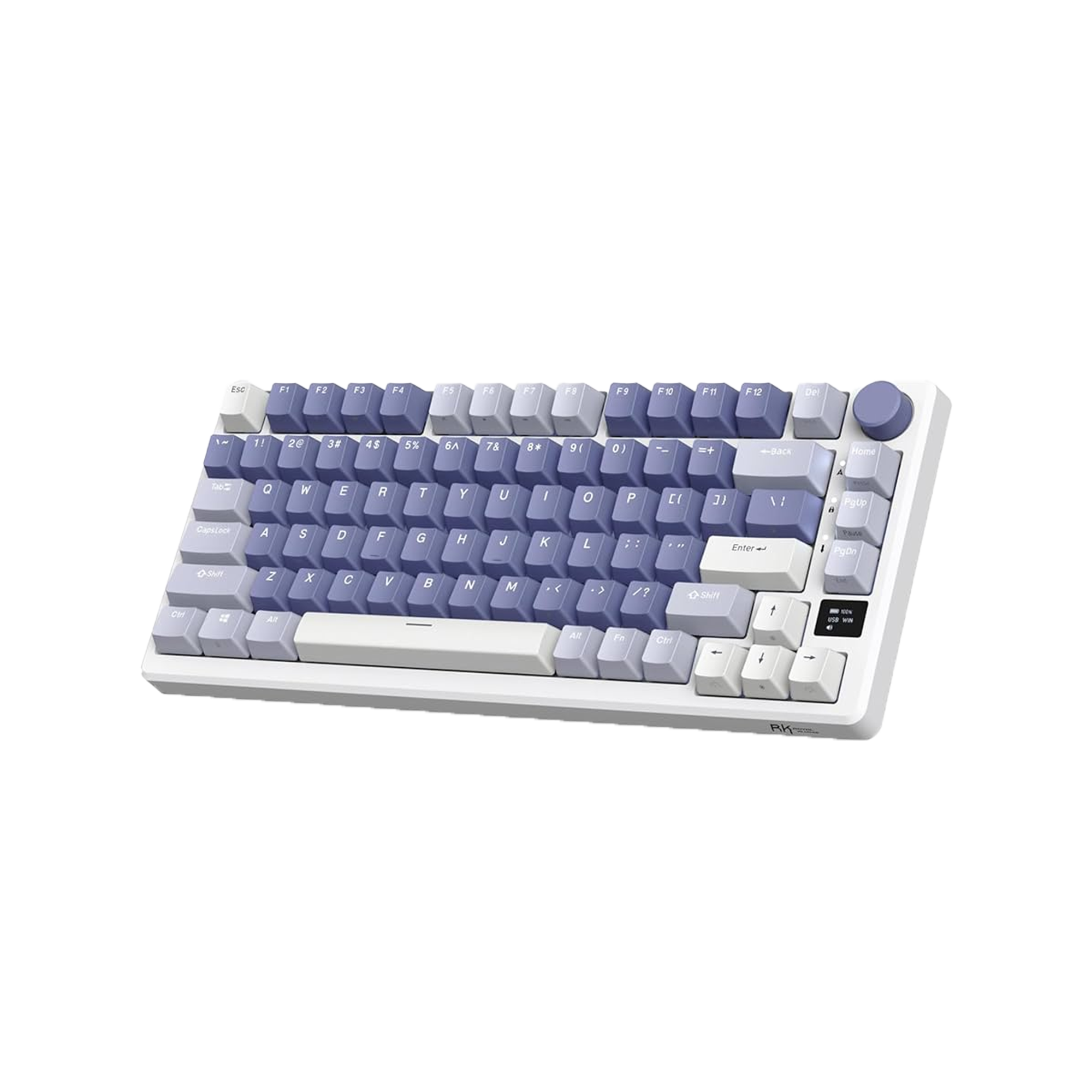 RK Royal Kludge M75 Mechanical Keyboard