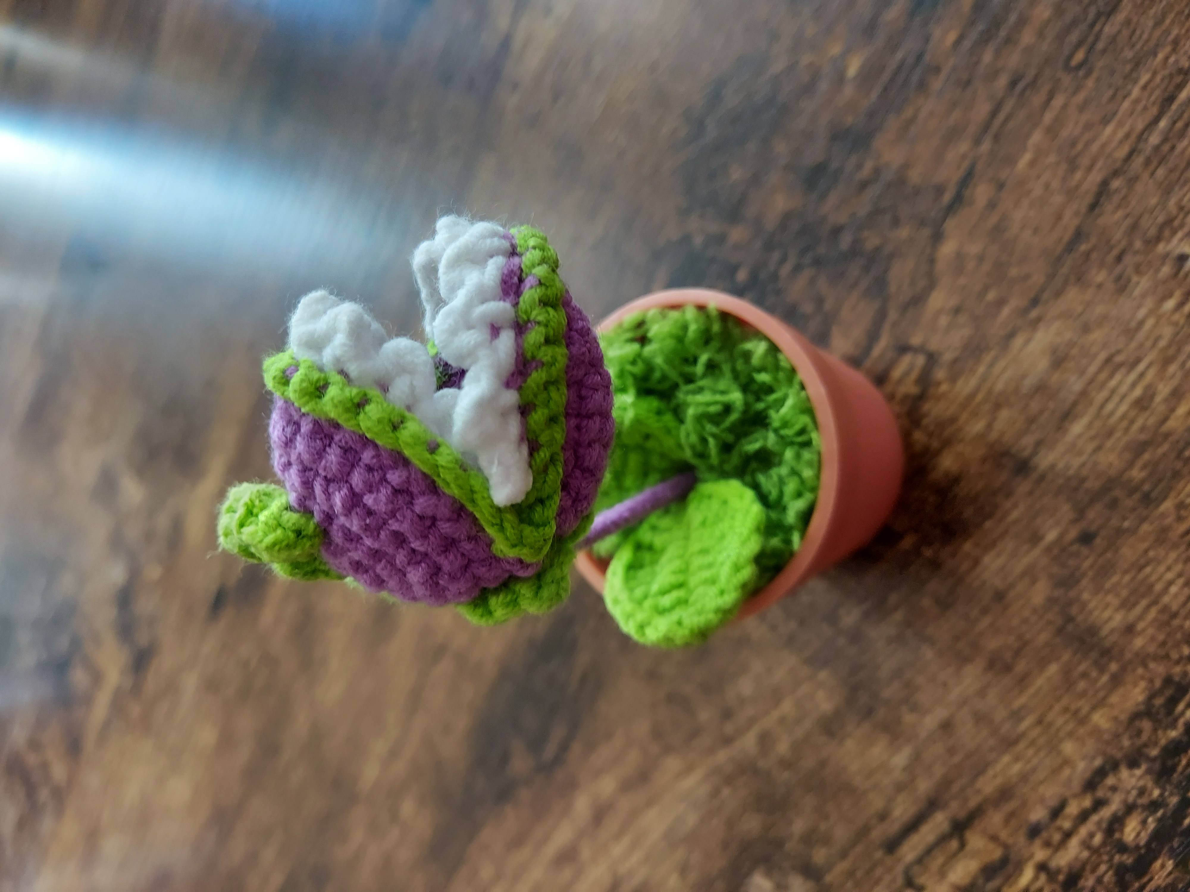 Plant VS Zombies plants
