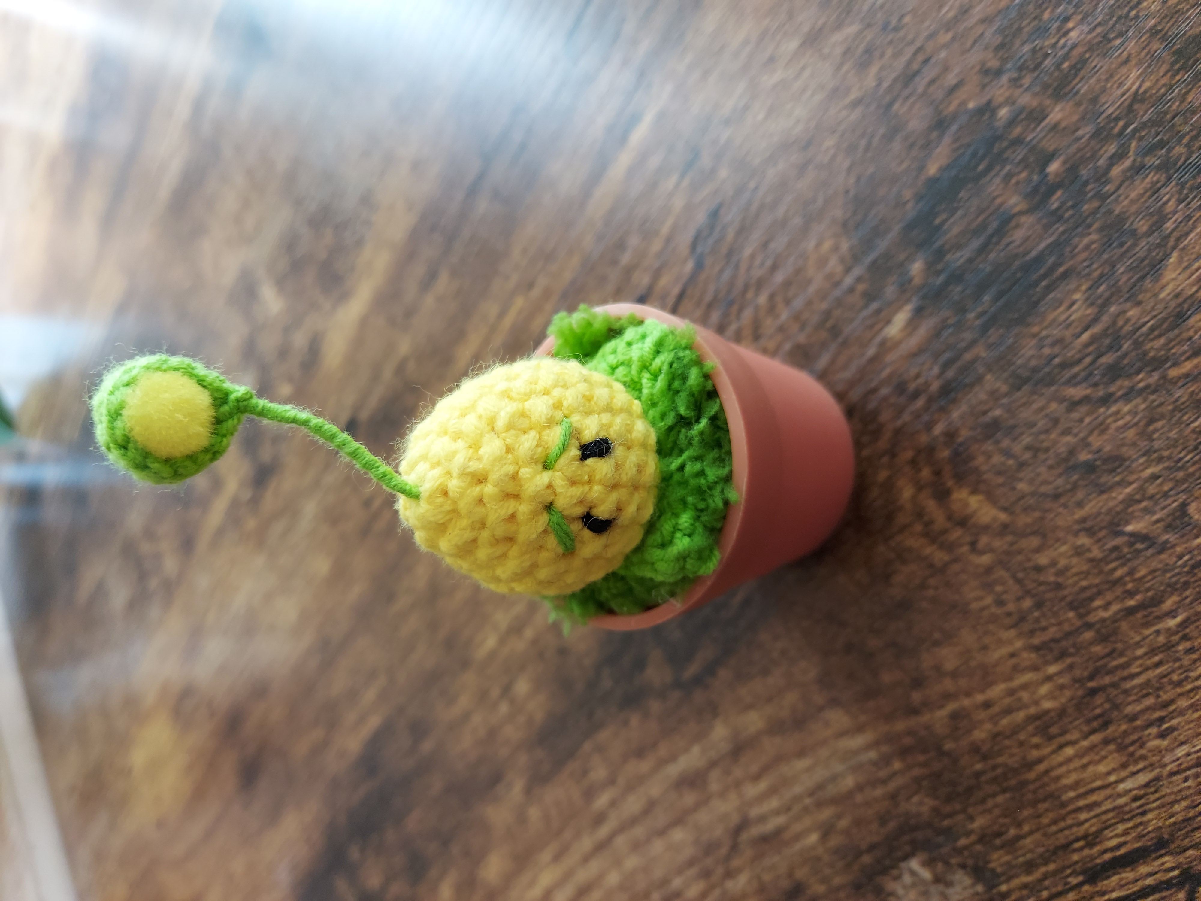 Plant VS Zombies plants