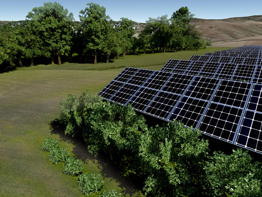 REALIZZAZIONE OPERE DI MITIGAZIONE AMBIENTALE PER IMPIANTI AD ENERGIA RINNOVABILE