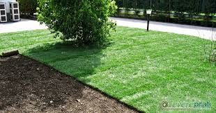 FORNITURA E POSA IN OPERA DI ZOLLE DI PRATO PRONTO O MANUTENZIONE