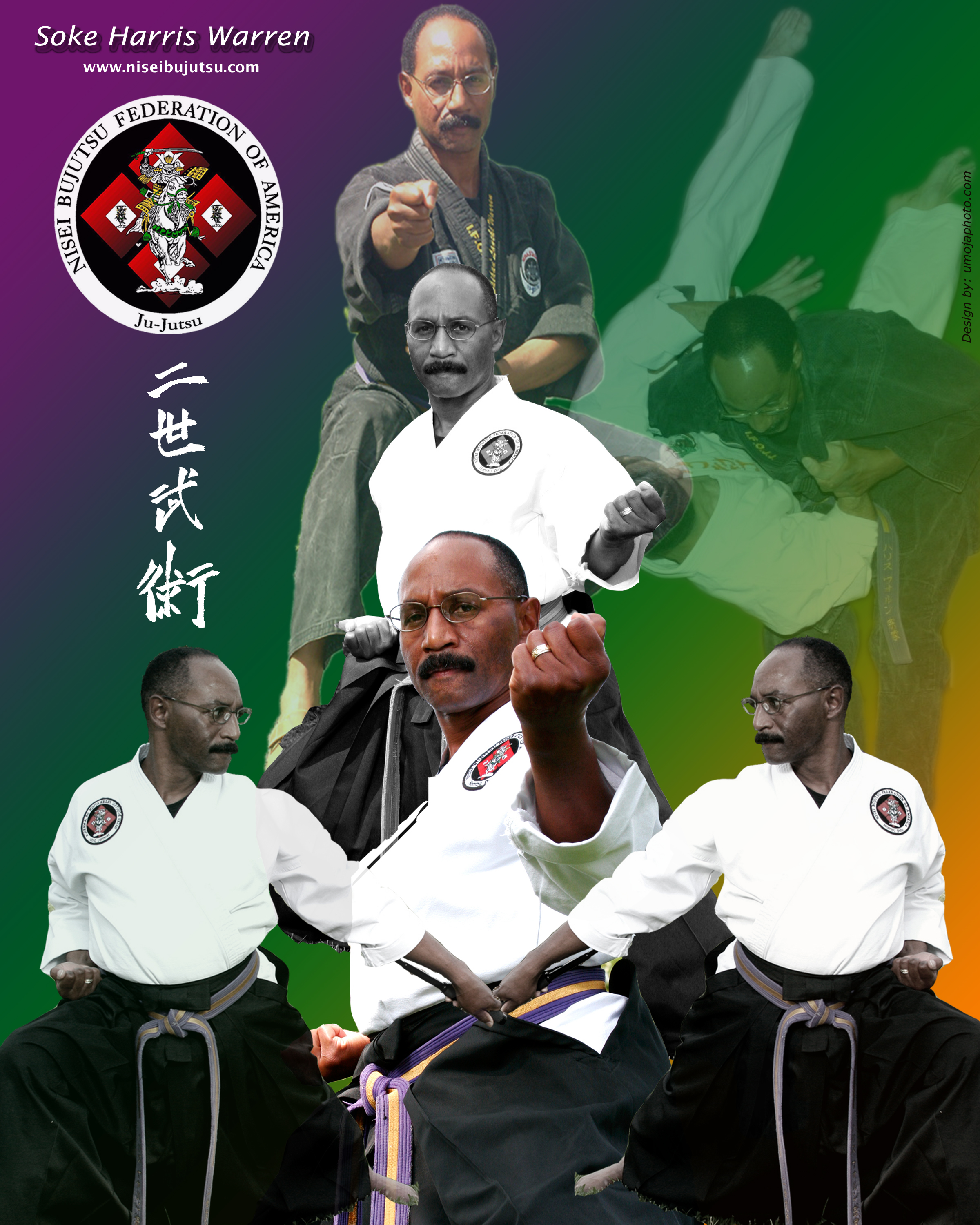 Essence of Nisei Bujutsu DVD