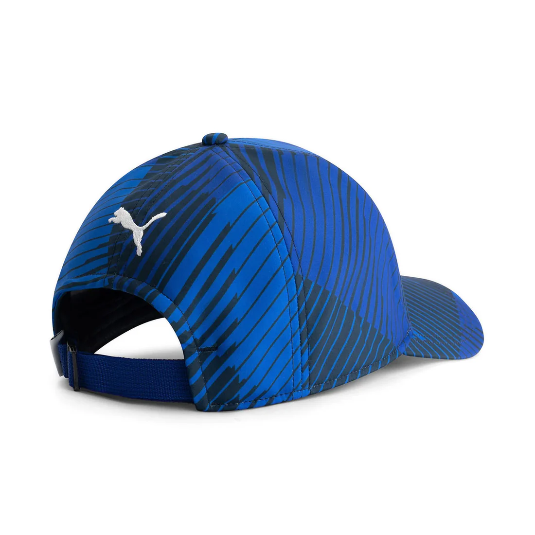 Gorra Equipo Williams Oficial 2025