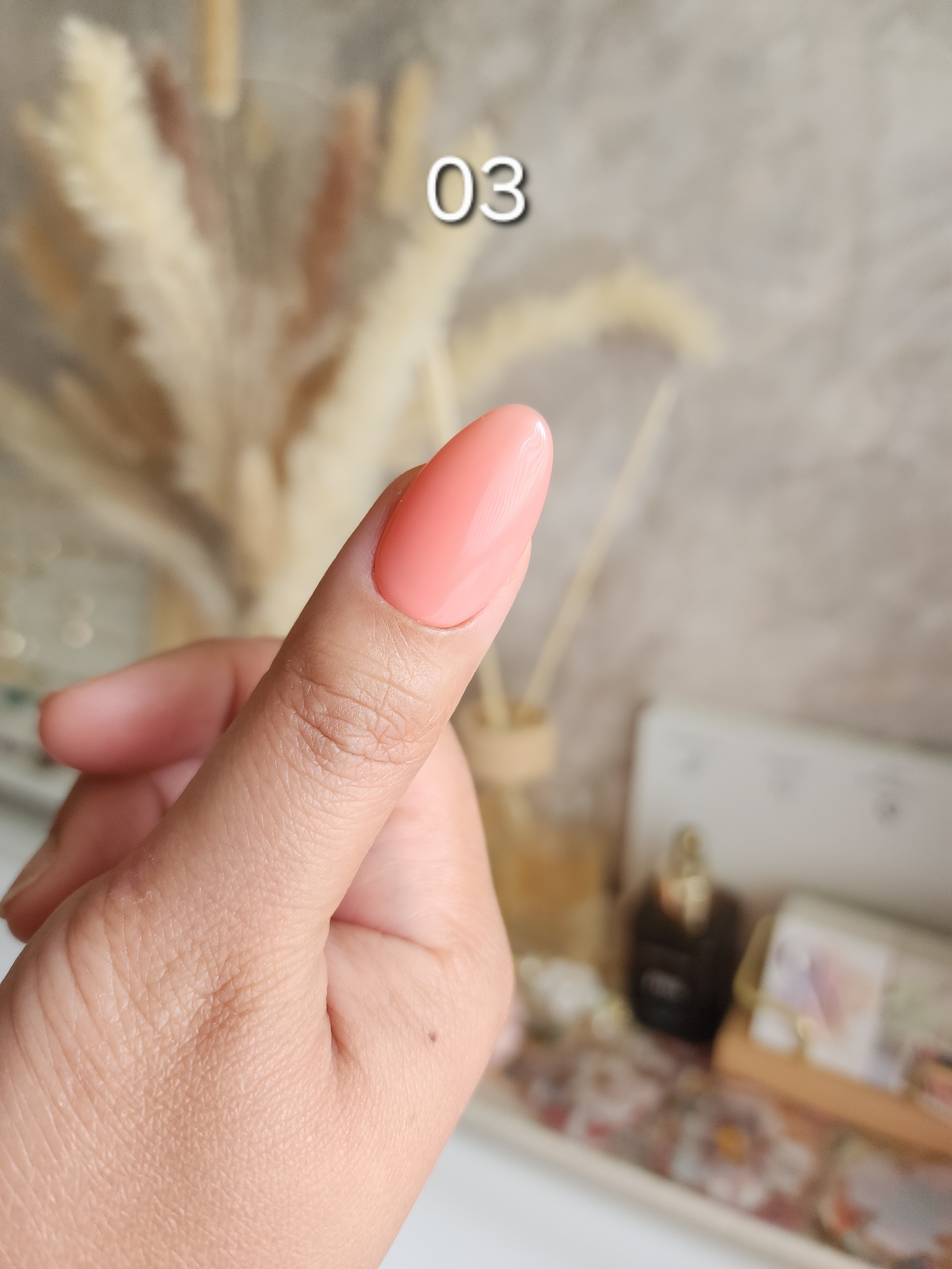 Jelly Nude Pinks 