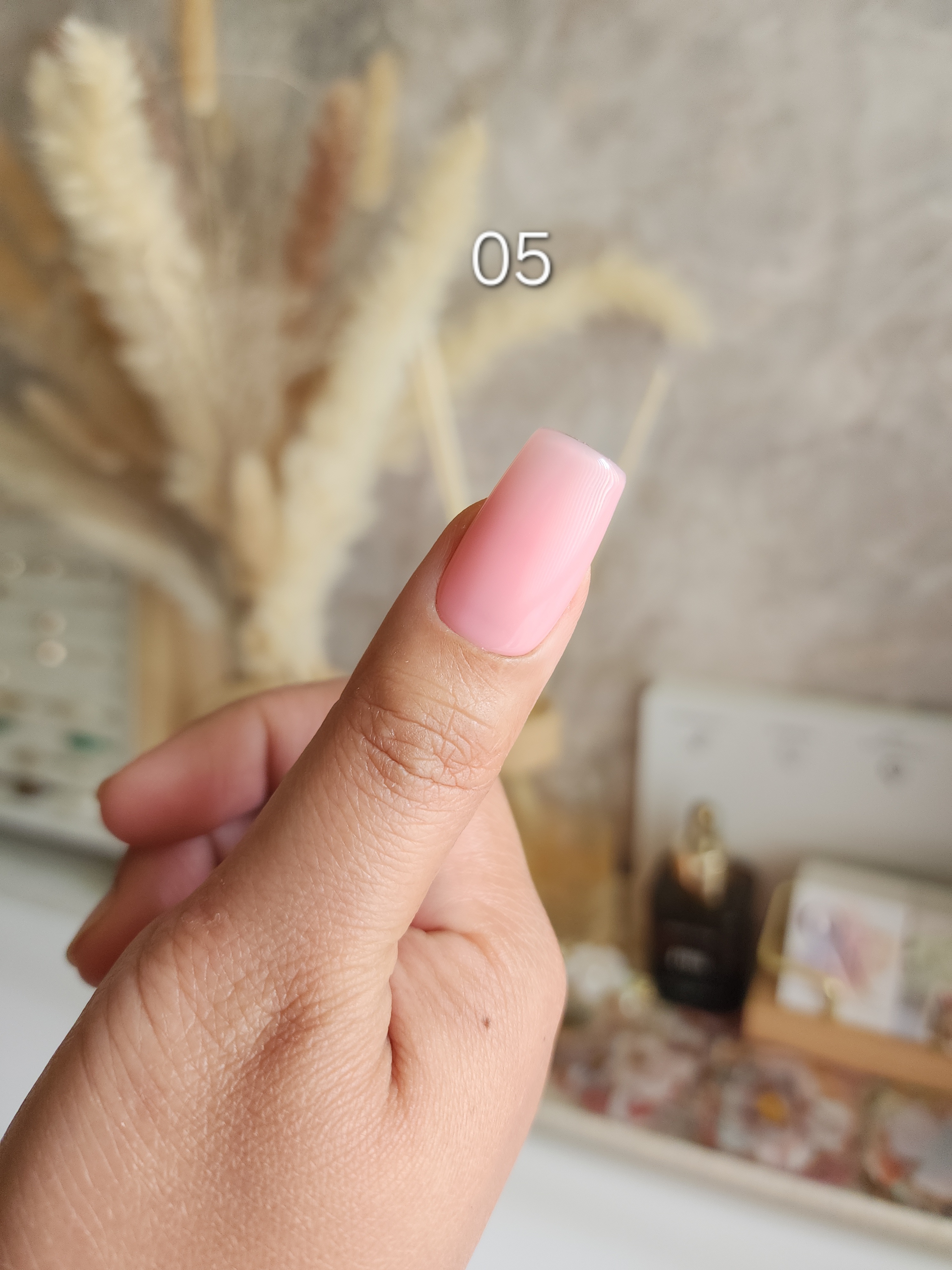 Jelly Nude Pinks 