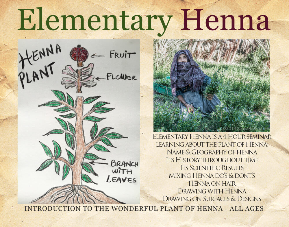 Elementary Henna: From Ancient Roots to Modern Art