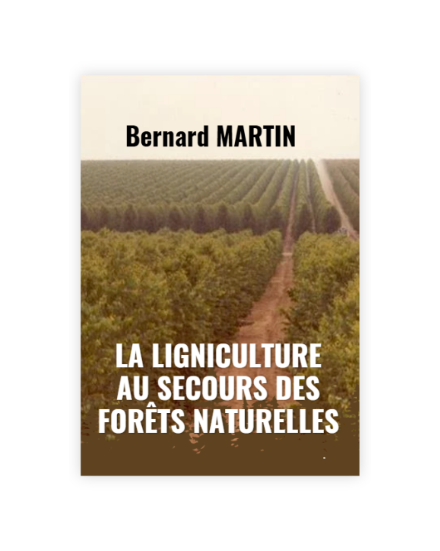 La ligniculture au secours des forêts naturelles